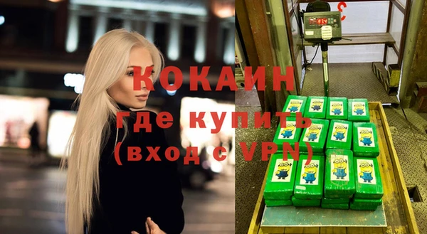 стафф Алзамай
